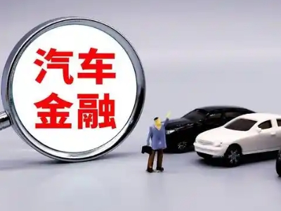 大新押车贷款不是本人可以么?